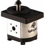 Hydraulic Pump 31100130010