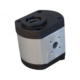 Hydraulic Pump 66100130025