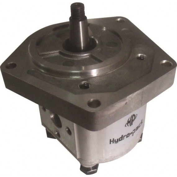 Hydraulic Pump 3054300R93