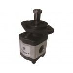 Hydraulic Pump 3401189R93