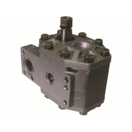 Hydraulic Pump 308873A1