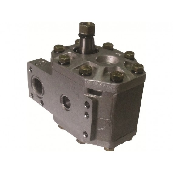 Hydraulic Pump 3401189R93