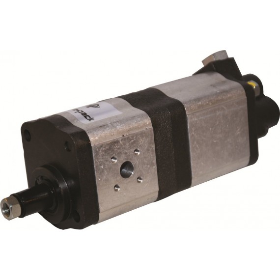 Hydraulic Pump 01176000