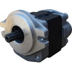 Hydraulic Pump TCM 129F7-10301