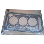 Cylinder Head Gasket 58005066 + Sump Gasket 58002022, Zetor Z6801