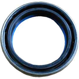 Seal 25/6407-109  